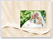 Romantiline pulmaalbum